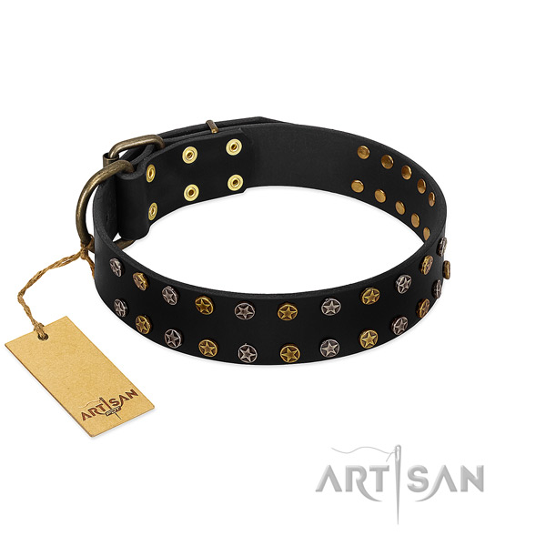 Top notch natural leather dog collar with corrosion resistant embellishments