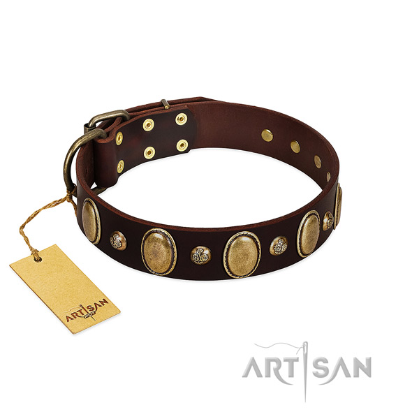 Full grain natural leather dog collar of top notch material with unusual studs