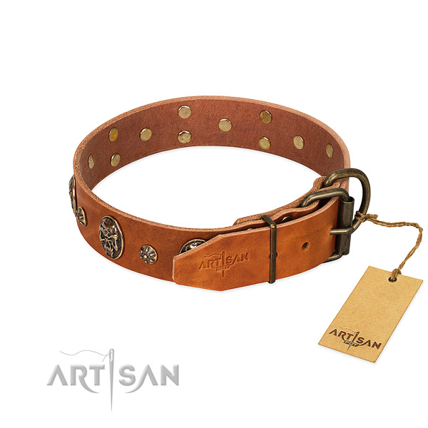 Reliable studs on genuine leather dog collar for your pet