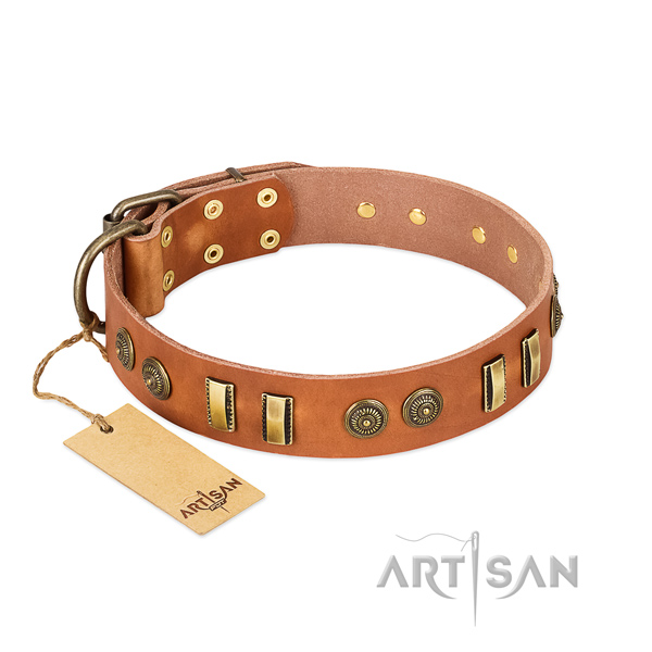 Rust resistant decorations on natural leather dog collar for your canine