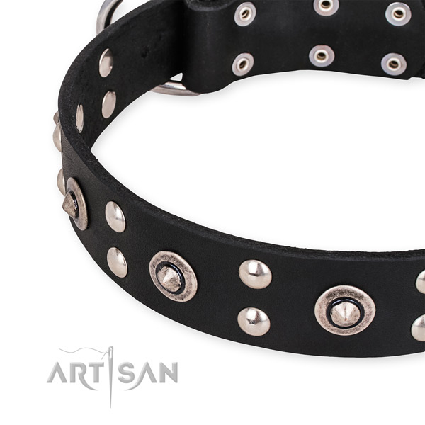 Leather collar with strong buckle for your handsome canine