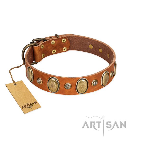 Natural leather dog collar of flexible material with unique embellishments