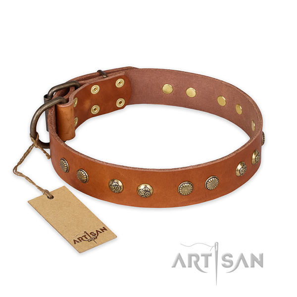 Designer full grain natural leather dog collar with reliable D-ring
