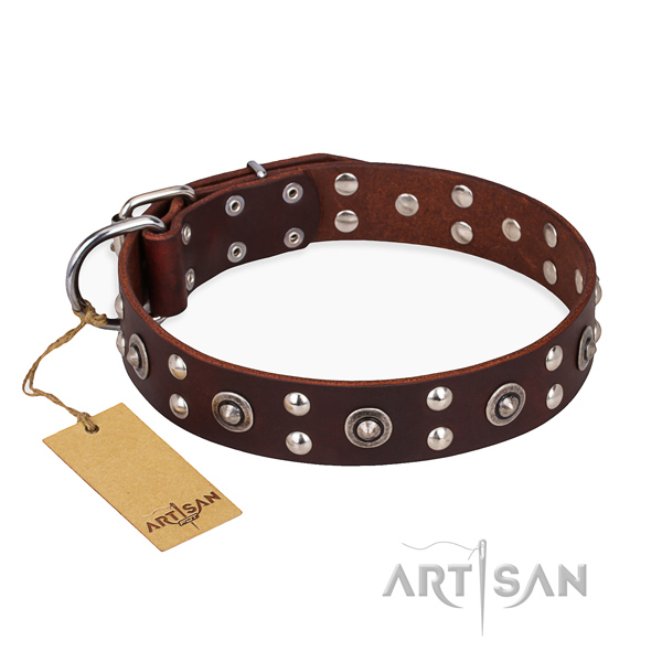 Comfy wearing unusual dog collar with strong hardware