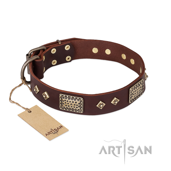 Stylish design full grain leather dog collar for basic training