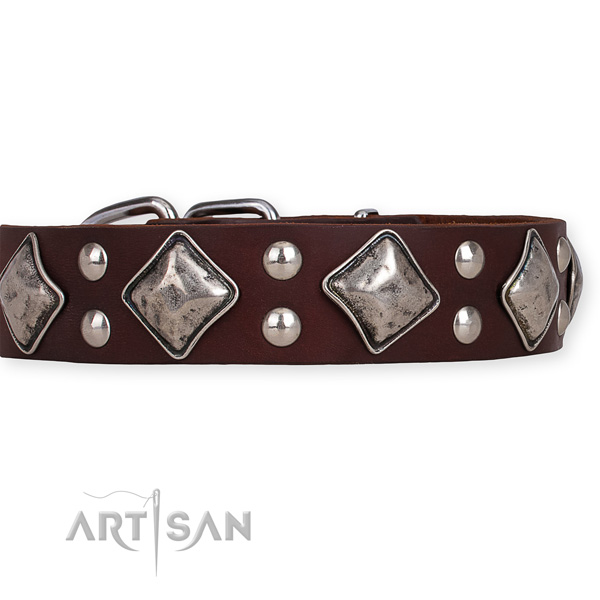 Full grain natural leather dog collar with unique corrosion resistant studs