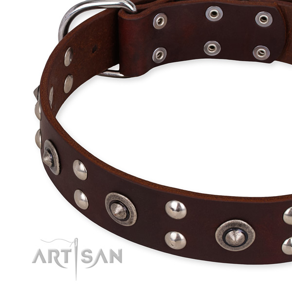 Full grain genuine leather collar with rust-proof buckle for your impressive doggie