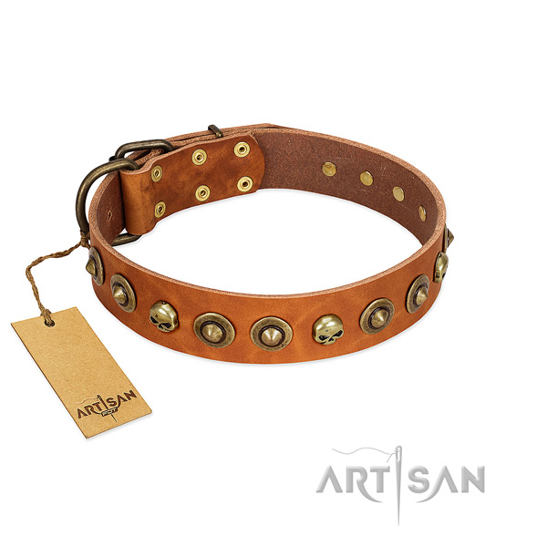 Full grain genuine leather collar with unique studs for your pet