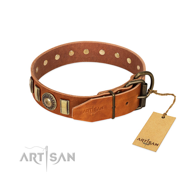 Exceptional genuine leather dog collar with rust-proof D-ring