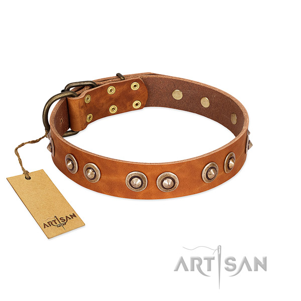 Reliable traditional buckle on leather dog collar for your doggie