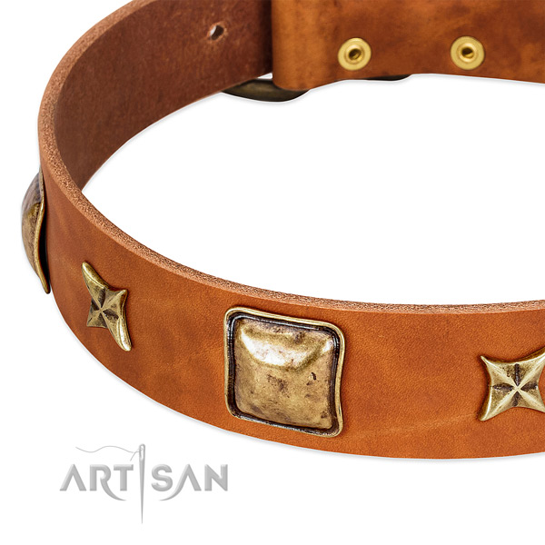 Rust resistant decorations on full grain genuine leather dog collar for your pet