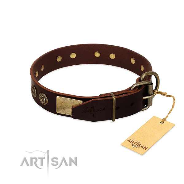 Reliable decorations on full grain leather dog collar for your canine