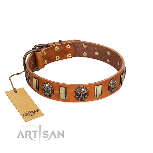 Exquisite leather dog collar for daily use