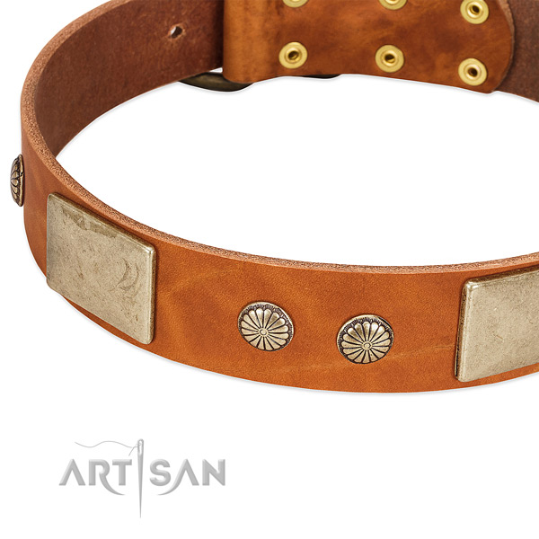 Rust-proof adornments on full grain leather dog collar for your dog