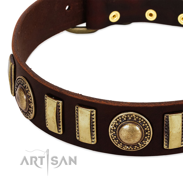 High quality full grain natural leather dog collar with strong fittings