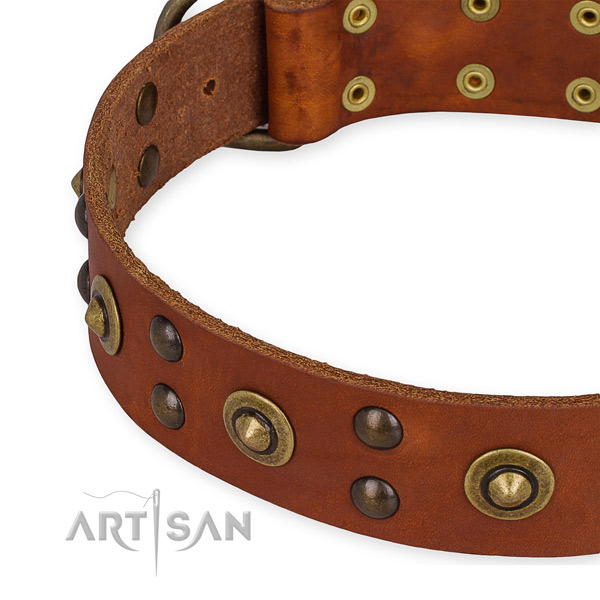 Full grain leather collar with strong traditional buckle for your lovely pet