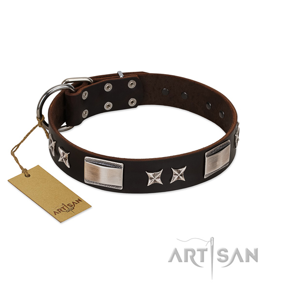 Exceptional dog collar of full grain natural leather