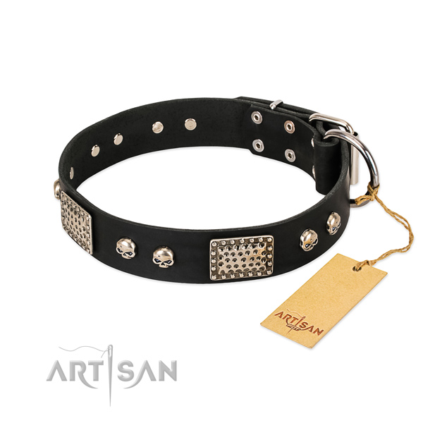 Easy wearing full grain genuine leather dog collar for basic training your pet