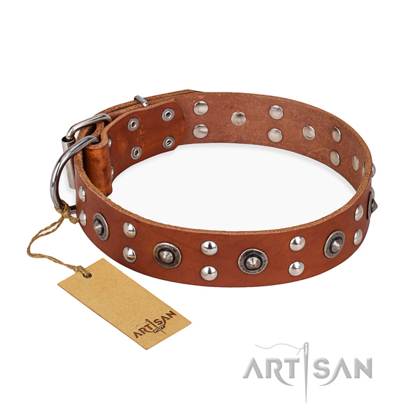 Daily walking adjustable dog collar with rust-proof fittings