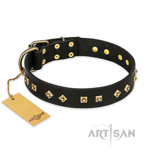 Handcrafted genuine leather dog collar with durable fittings