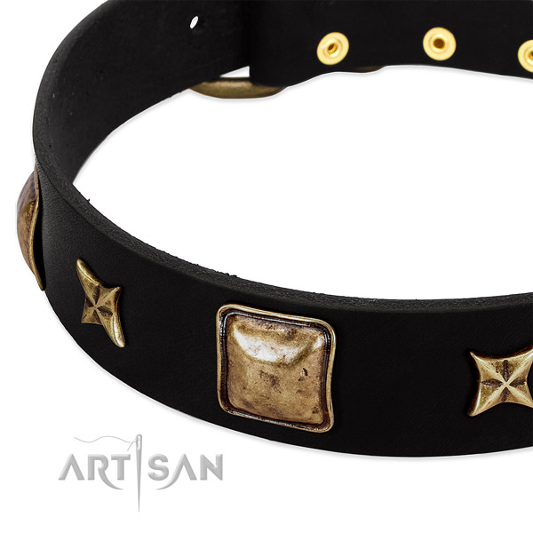 Natural leather dog collar with stunning embellishments