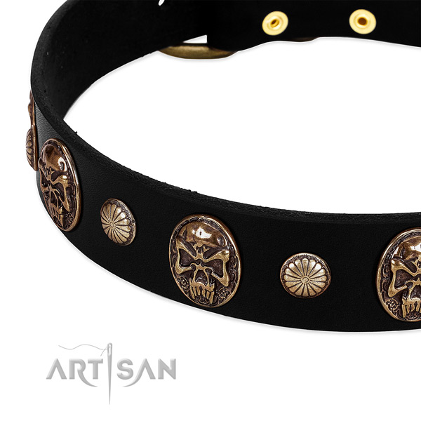 Natural leather dog collar with impressive studs