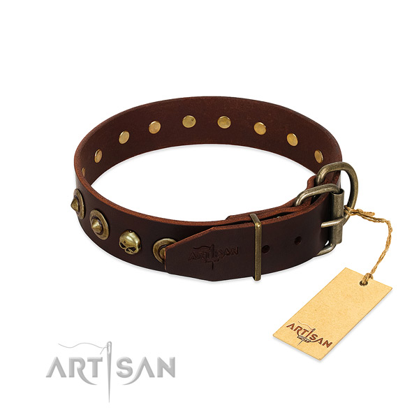 Natural leather collar with designer studs for your doggie