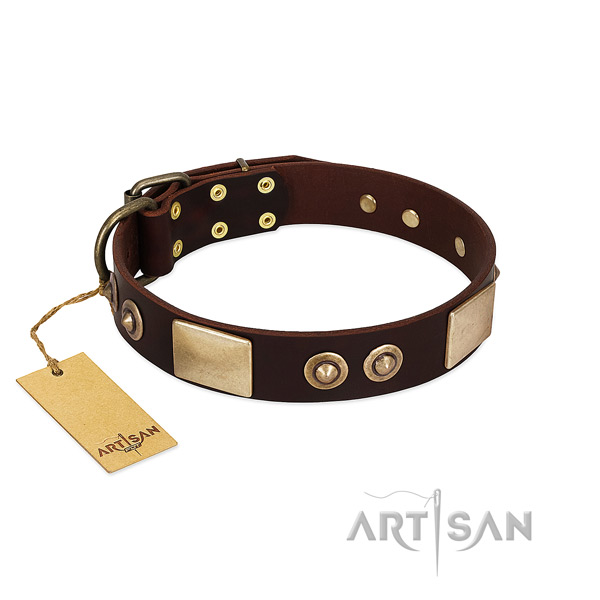 Easy adjustable leather dog collar for everyday walking your pet
