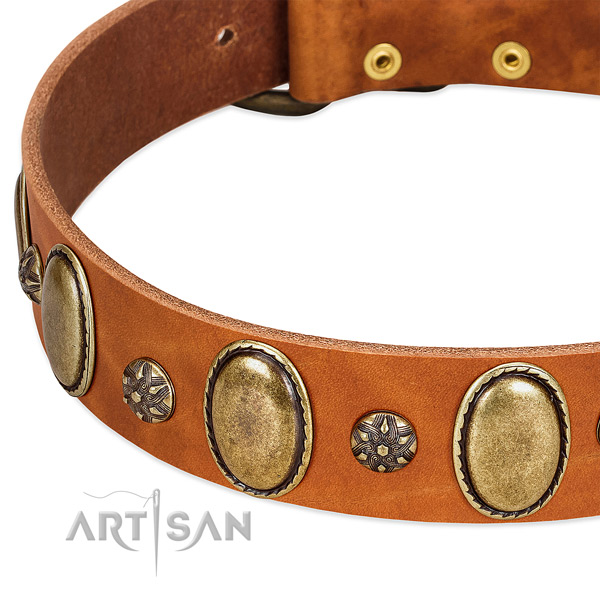 Easy wearing high quality full grain natural leather dog collar