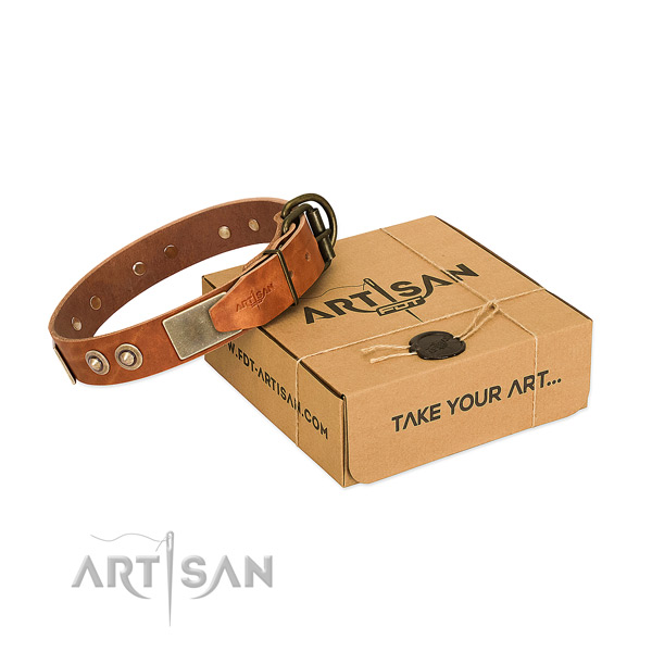 Rust-proof embellishments on dog collar for daily use