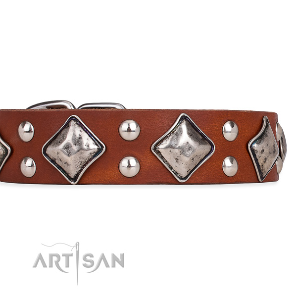 Natural leather dog collar with unique strong embellishments