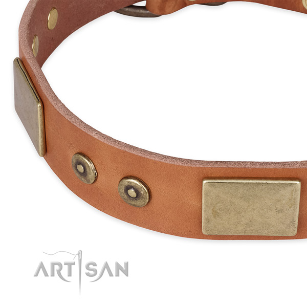 Corrosion resistant hardware on genuine leather dog collar for your canine