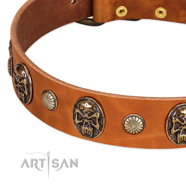Corrosion resistant fittings on natural genuine leather dog collar for your doggie