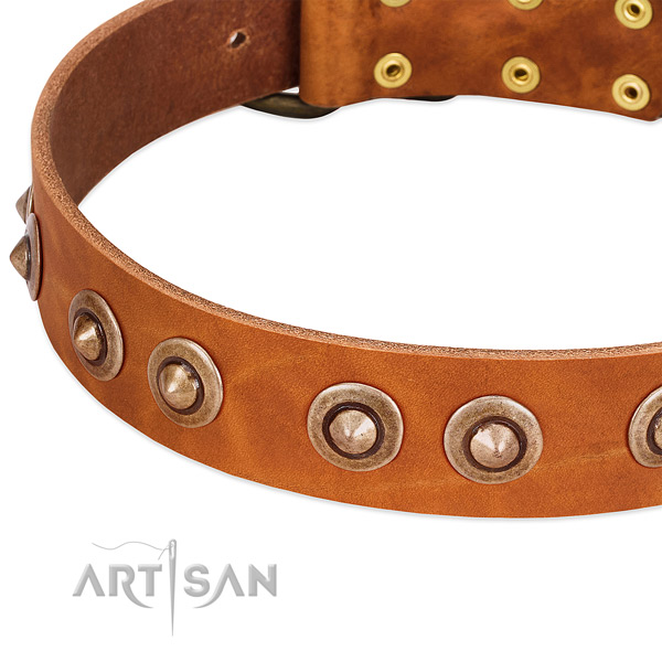 Rust-proof embellishments on full grain natural leather dog collar for your dog