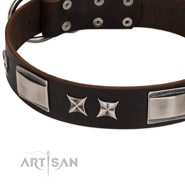 Gentle to touch full grain genuine leather dog collar with durable traditional buckle