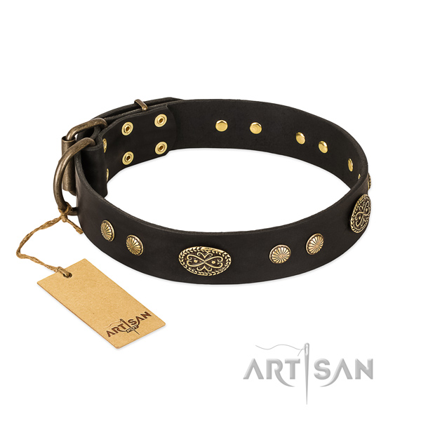 Strong adornments on natural leather dog collar for your pet