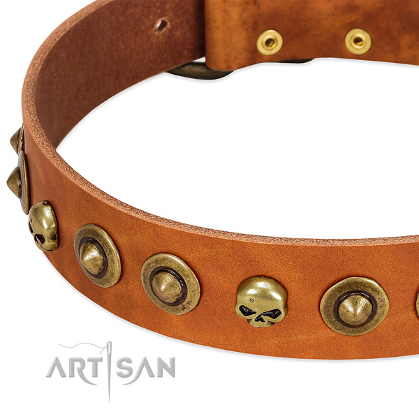 Stylish design adornments on full grain genuine leather collar for your four-legged friend