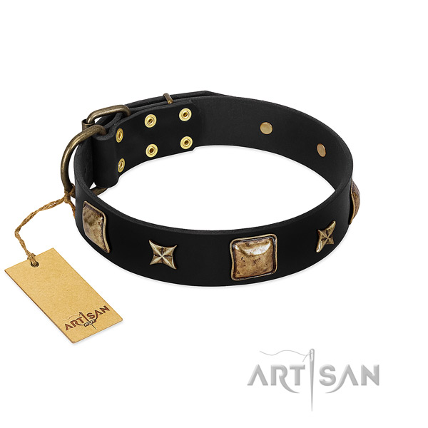 Natural leather dog collar of flexible material with incredible adornments