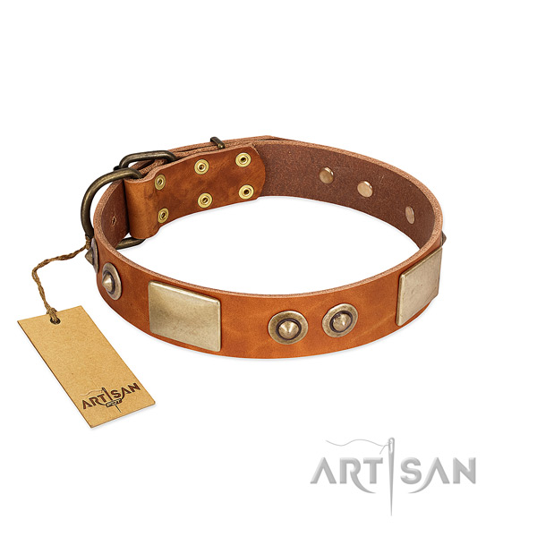 Easy to adjust leather dog collar for basic training your canine
