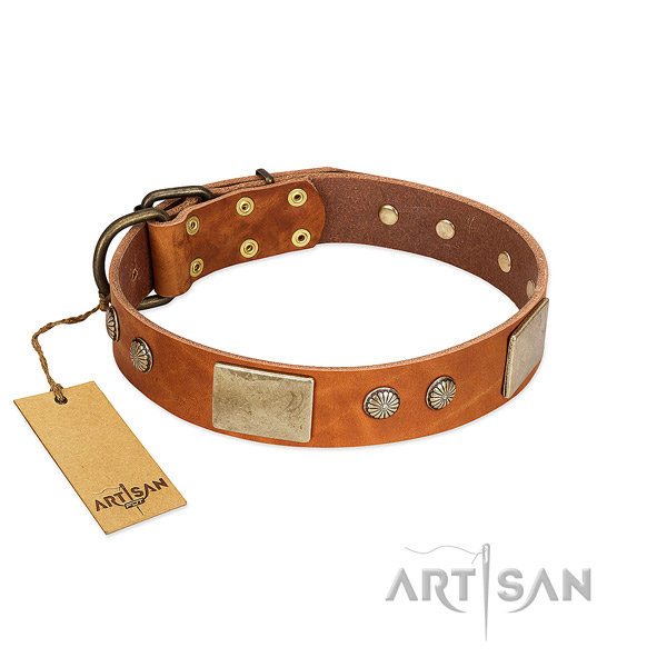 Adjustable genuine leather dog collar for everyday walking your pet