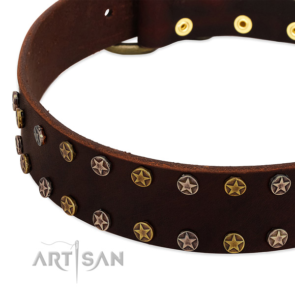 Comfortable wearing full grain genuine leather dog collar with stunning adornments