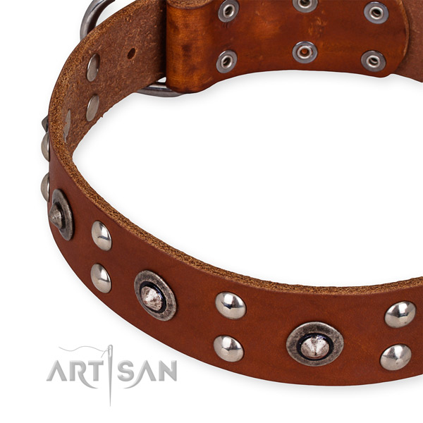 Genuine leather collar with strong fittings for your attractive canine