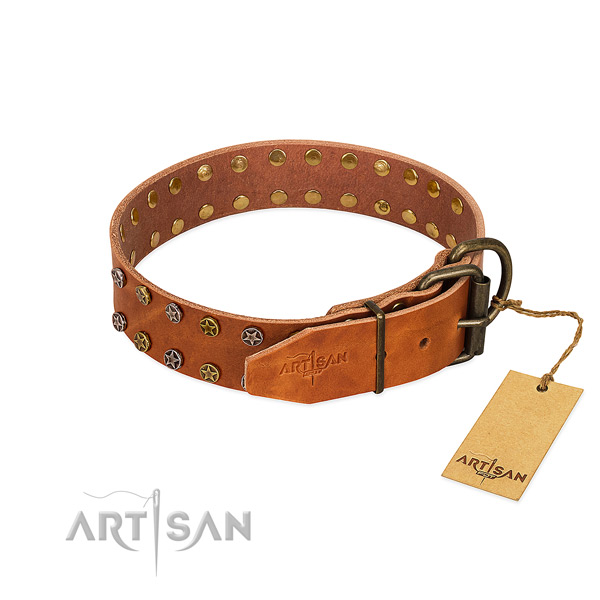 Comfy wearing full grain genuine leather dog collar with trendy adornments