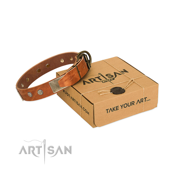 Rust-proof traditional buckle on dog collar for handy use