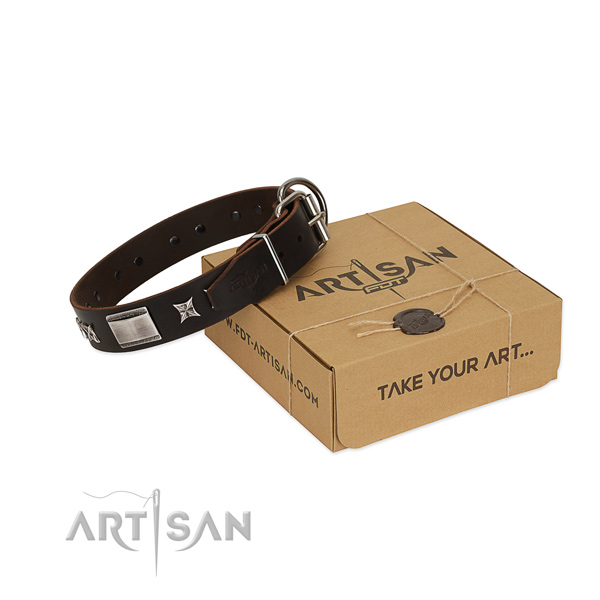 Stylish collar of full grain natural leather for your lovely canine