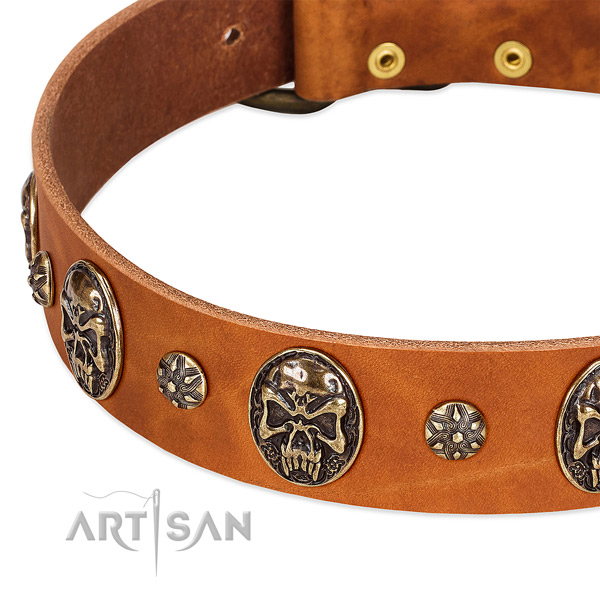 Corrosion resistant studs on full grain leather dog collar for your dog