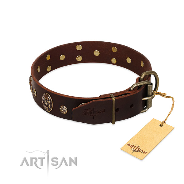 Rust-proof embellishments on leather dog collar for your pet