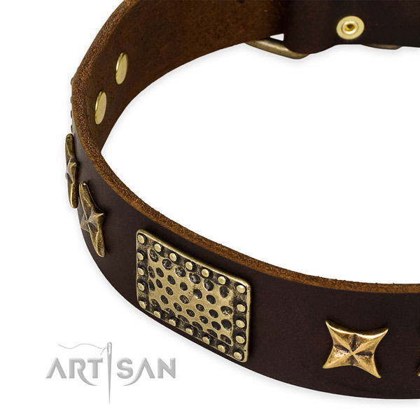 Natural genuine leather collar with reliable fittings for your attractive canine