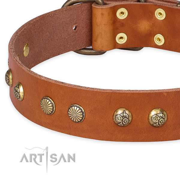 Full grain genuine leather collar with strong D-ring for your attractive dog