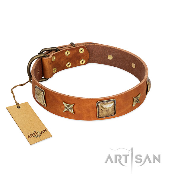 Amazing leather collar for your dog